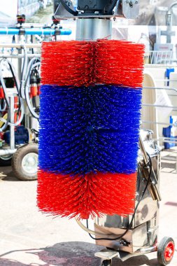 Tarım çiftliğindeki masaj ve temizlik inekleri ve diğer sığırlar için döner fırça