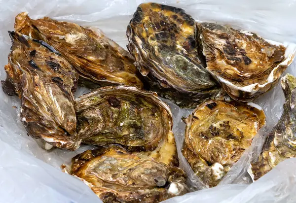 Piyasada buzdaki kabuklu taze istiridyeler.