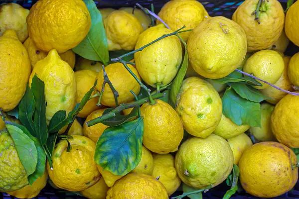 İtalya, Sicilya 'dan gelen büyük sarı turunçgiller yığını.