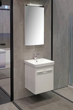 Modern banyo içinde duvarında ayna olan küçük bir lavabo.