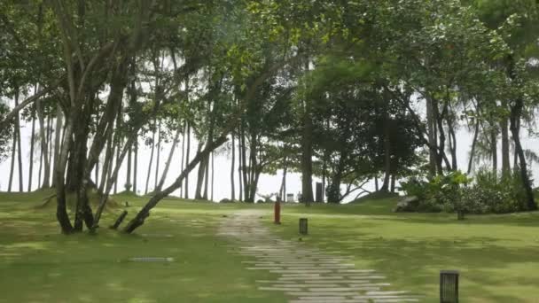 在靠近海滩海的热带森林中的绿地景观 以及通往大海的路径 日光浴 自然景观背景下的海滩空间区域 — 图库视频影像