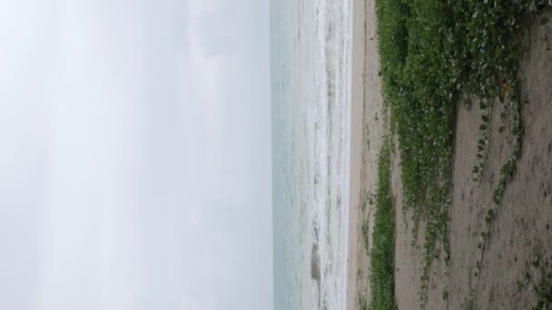 Вертикальне Відео Узбережжя Морського Узбережжя Білий Пісок Гладкий Пляж Бірюзовим — стокове відео