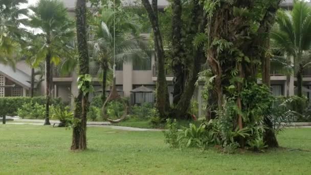 Landschap Uitzicht Groene Gazon Tuin Met Een Aantal Bomen Tussen — Stockvideo
