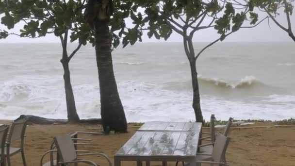 Grote Stormgolven Storten Neer Het Strand Als Sterke Wind Waait — Stockvideo