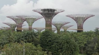 Dev Süperağaçlar ve OCBC Skyway 'de gökyüzü bulutlu Singapur Körfezi kıyısındaki Gardens' ın arka planında insanlar ve süper ağaçlar var.