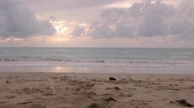 Deniz kıyısı, beyaz kumlu, turkuaz, tropikal su denizli, günbatımı, vanilya gökyüzü, tropikal doğa, yaz manzarası, tatil geçmişi.