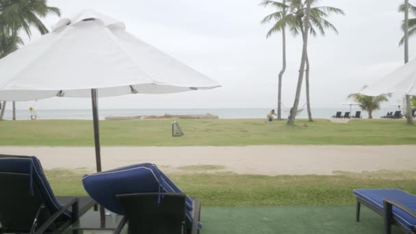 Luxury Beach Lounge Beds Umbrella Green Lawn Beach Beach Coconut — Stockvideo