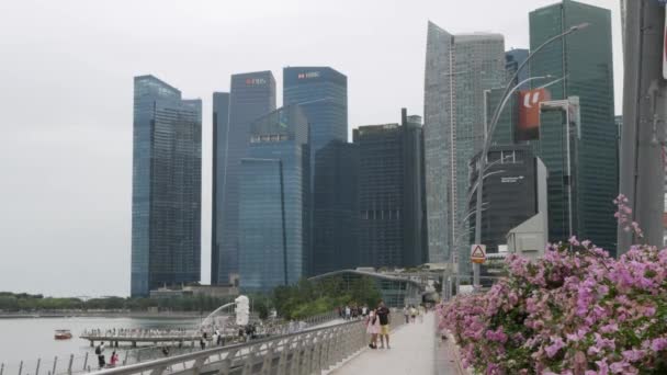2022年8月21日 新加坡 商业区中心城市高楼大厦的高速公路景观 — 图库视频影像