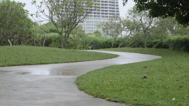 热带气候条件下 绿树成荫的自然公园中心地带的沥青路面 — 图库视频影像