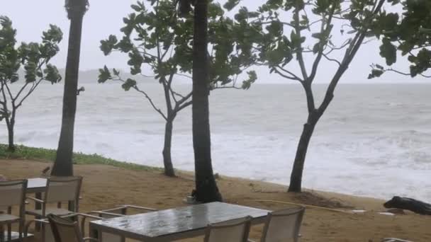 Duże Fale Burzowe Rozbijają Się Plaży Gdy Silne Wiatry Dmuchają — Wideo stockowe
