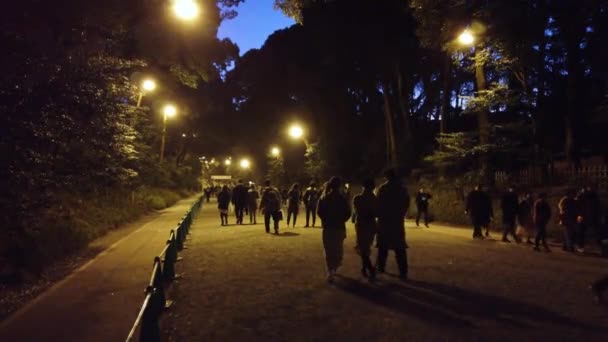 January 2020 Tokyo Japan Crowded People Visit Meiji Shrine Walking — Stock Video
