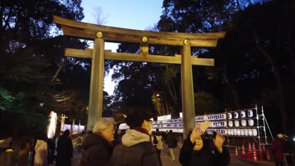 Enero 2020 Tokio Japón Gente Visita Santuario Meiji Centro Ciudad — Vídeos de Stock