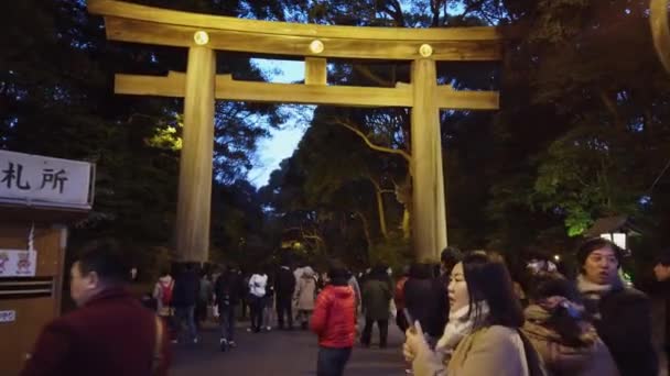 2020年1月1日 東京都 東京の中心部にある明治神宮を訪れ 元日には原宿の森の中に古代の木鳥居があります — ストック動画