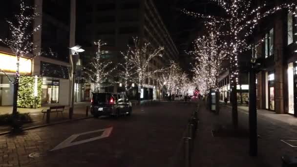 Janeiro 2020 Tóquio Japão Visão Noturna Rua Com Bela Decoração — Vídeo de Stock