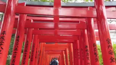 1 Ocak 2020: Tokyo, Japonya: Budist tapınağındaki birçok torii kırmızı giriş kapısı altında yürürken görünüm