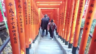 1 Ocak 2020: Tokyo, Japonya: Budist tapınağındaki birçok torii kırmızı giriş kapısı altında yürürken görünüm
