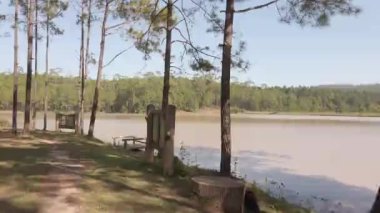 Turkuaz su gölü manzaralı bir dağ ormanı gölü ve çam ağaçları. Taze su ve yeşil ormanlı mavi göl manzarası.