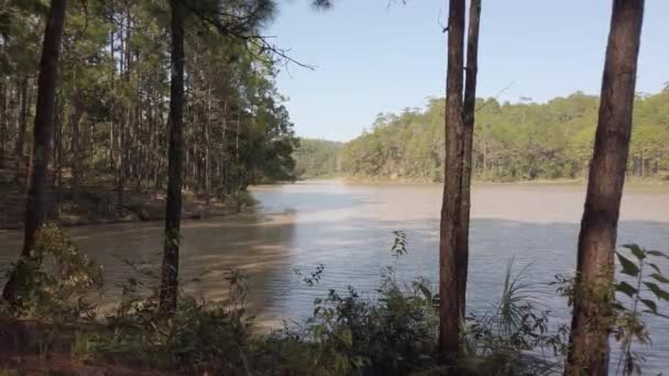 Panoramablick Auf Den Türkisfarbenen Wassersee Einem Bergwaldsee Mit Kiefern Blick — Stockvideo
