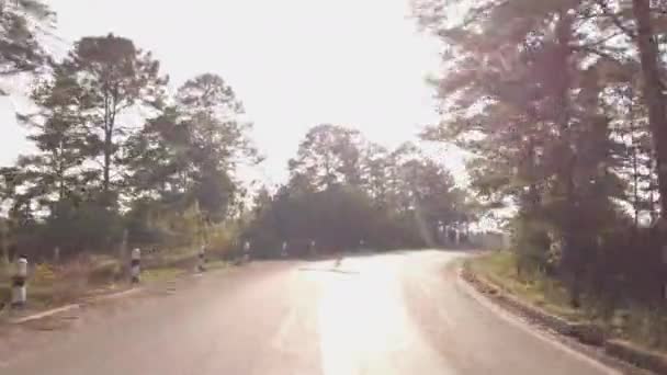 Μπροστινή Όψη Οδηγού Ενώ Ταξιδεύετε Στον Τοπικό Δρόμο Surround Πεύκα — Αρχείο Βίντεο