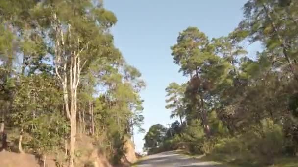 Visão Motorista Dianteiro Enquanto Viaja Estrada Local Cercar Com Pinheiros — Vídeo de Stock