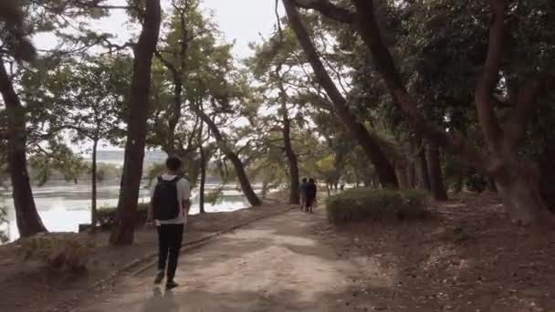 2022年11月17日 福岡県 秋の昼間 福岡県博多市の大堀公園の松林を歩きながらスローモーションビュー — ストック動画