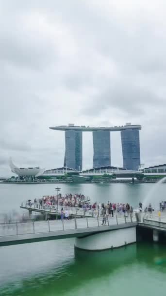 Vista Timelapse Vertical Área Baía Singapore Marina Com Arranha Céus — Vídeo de Stock
