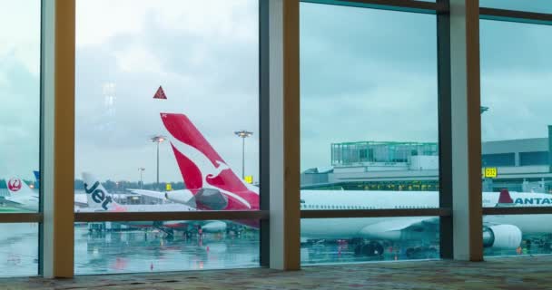 2022 Agustus Bandar Udara Changi Singapura Pemandangan Dalam Ruangan Terminal — Stok Video