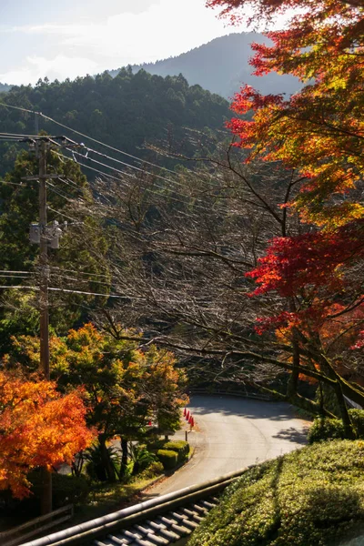 local street road among mountain hill under Maple Tree leaves During Autumn with color change on leaf in orange yellow and red, falling natural background texture autumn concept, fall season background
