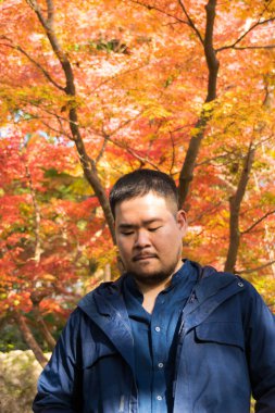 asian man under maple Tree leaves During Autumn with color change on leaf in orange yellow and red, falling natural background texture autumn concept