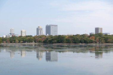 Şehir merkezinin ufuk çizgisi göl üzerindeki doğal manzara gündüz vakti Japonya 'nın doğal göl parkı güneş ışığı altında.