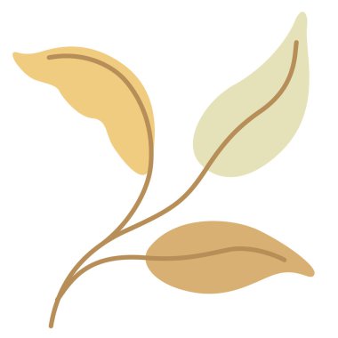 El çizimi şekiller ve çiçek tasarımı elementleri. Egzotik orman yaprakları. Soyut modern moda illüstrasyon ögesi simgesi