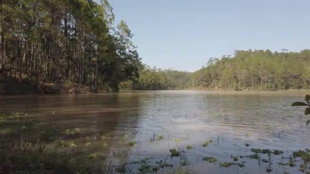 Panoramablick Auf Den Türkisfarbenen Wassersee Einem Bergwaldsee Mit Kiefern Blick — Stockvideo