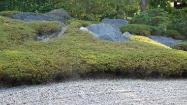 Geleneksel Japon yosunları ve taş bahçeleri sonbahar günlerinde Fukuoka, Japonya 'da birçok ağaçla birlikte park ederler.