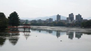 Japonya, Hakata, Fukuoka 'daki Ohori halk parkındaki göl gölünün doğal manzara manzarası. Sonbahar günü açık mavi gökyüzü altında ve şehir yatay hat üzerinde.