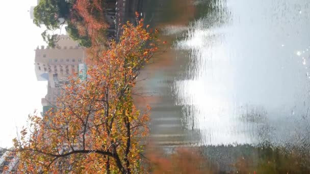 Widok Pionowy Jesień Drzewo Liści Kolor Zmieniony Wietrznym Wieje Jesienią — Wideo stockowe