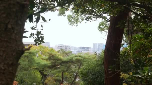 秋天的白天 福冈市的全景通过林下的树木 鸟瞰风景 — 图库视频影像