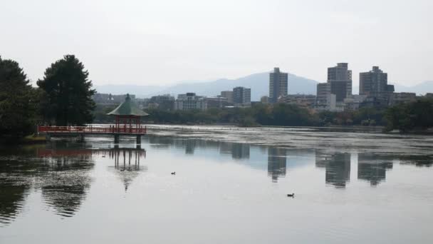 秋天里 日本福冈市客田市大和里公园湖池的自然景观背景 城市在水平线上 蓝天分明 — 图库视频影像