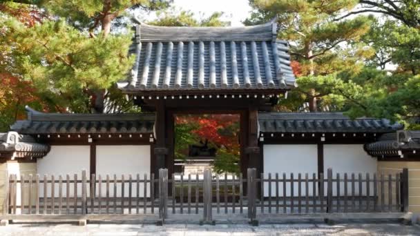 Entrada Antiga Templo Santuário Construção Arquitetura Design Japonês Com Jardim — Vídeo de Stock