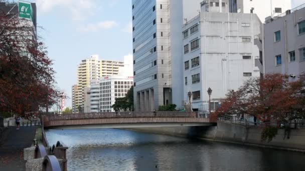 2022年11月17日 福岡市 広告看板や看板のある近代的な建物の中で 昼間の福岡での車や人の往来 日本のストリートビュー — ストック動画