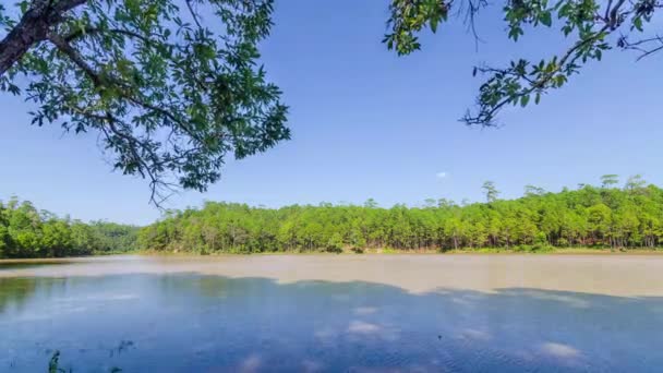 Zeitraffer Landschaft Panoramablick Auf Den Türkisfarbenen Wassersee Einem Bergwaldsee Mit — Stockvideo