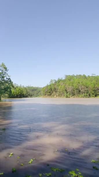 Widok Pionowy Timelapse Krajobraz Panorama Jezioro Turkusowe Wody Górskim Lesie — Wideo stockowe