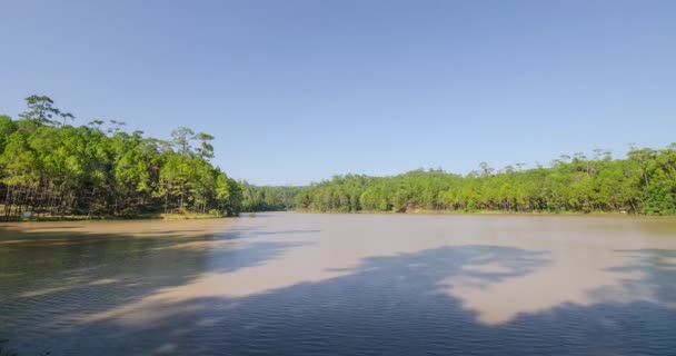 Панорама Бирюзовое Озеро Горно Лесном Озере Сосновыми Деревьями Вид Голубое — стоковое видео