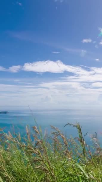 Pionowy Timelapse Naturalny Piękny Widok Wybrzeże Morskie Urwisko Słoneczny Dzień — Wideo stockowe