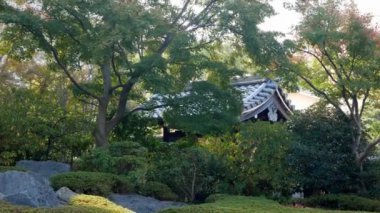 Japon Zen tarzı bir bahçe, güz günlerinde, Japon bahçesi tarzında huzurlu, doğal bahçe arka planında.