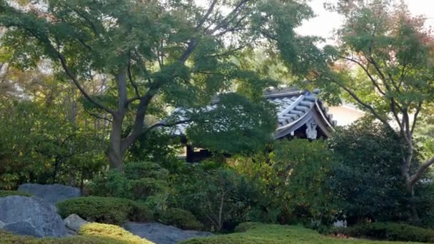 Japoński Ogród Stylu Zen Jesienią Relaks Spokojny Japońskim Stylu Ogrodowym — Wideo stockowe