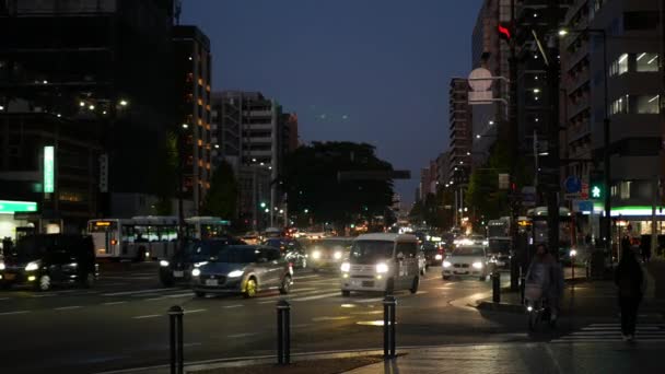 2022 후쿠오카 광고판 사이에서 후쿠오카 자동차와 사람들 교통을 — 비디오