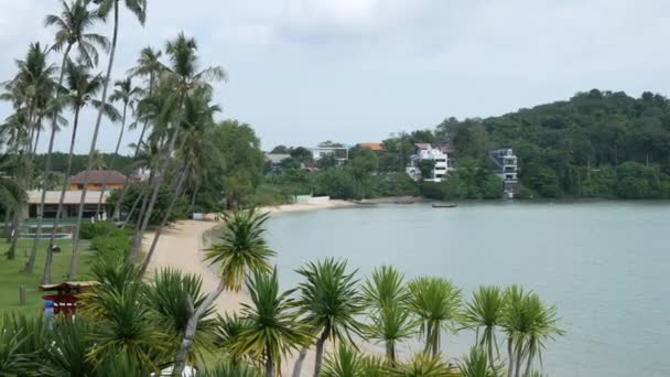 緑の芝生の熱帯ビーチの白い砂の上にヤシの木と海岸風景 ターコイズブルーの海の上のパームバウンティ島の背景の海の自然プーケットビーチ — ストック動画