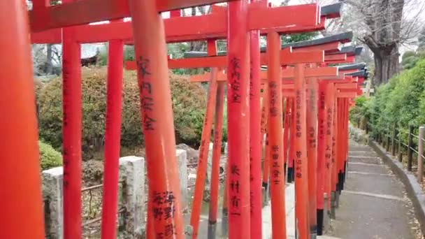 Januar 2020 Tokio Japan Zeitlupentempo Beim Gehen Unter Vielen Torii — Stockvideo