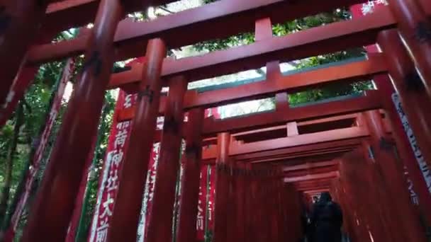 Januar 2020 Tokio Japan Blick Unter Viele Torii Rote Eingangstore — Stockvideo