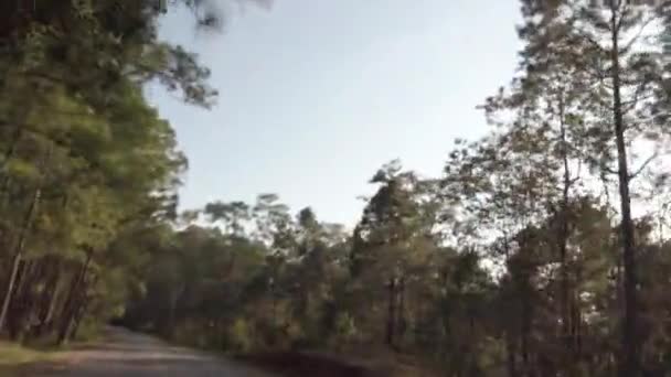 Blurred Out Focusing Front Driver View While Traveling Local Road — 비디오